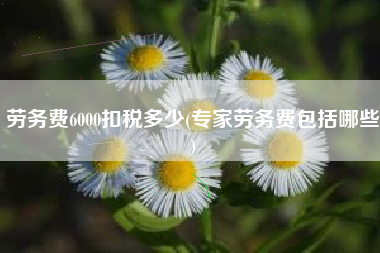 劳务费6000扣税多少(专家劳务费包括哪些)