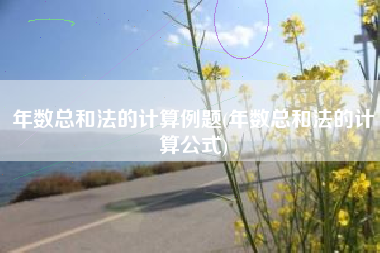 年数总和法的计算例题(年数总和法的计算公式)