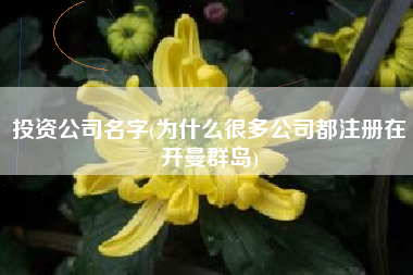 投资公司名字(为什么很多公司都注册在开曼群岛)