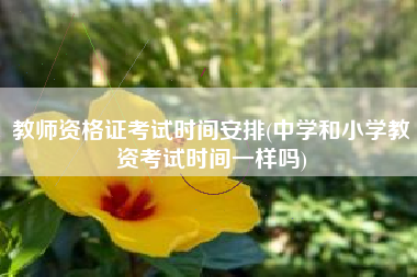 教师资格证考试时间安排(中学和小学教资考试时间一样吗)