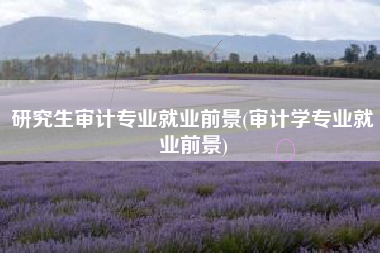 研究生审计专业就业前景(审计学专业就业前景)