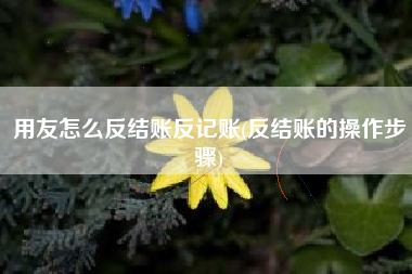 用友怎么反结账反记账(反结账的操作步骤)