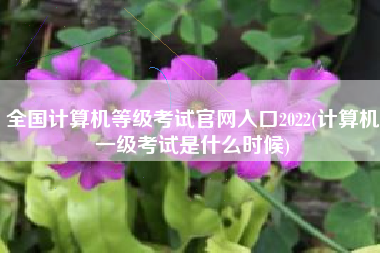 全国计算机等级考试官网入口2022(计算机一级考试是什么时候)
