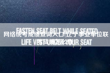 网络统考成绩查询入口(辽宁事业单位联考成绩怎么查)