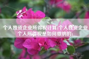 个人独资企业所得税计算(个人独资企业个人所得税是如何缴纳的)
