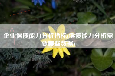 企业偿债能力分析指标(偿债能力分析需要哪些数据)