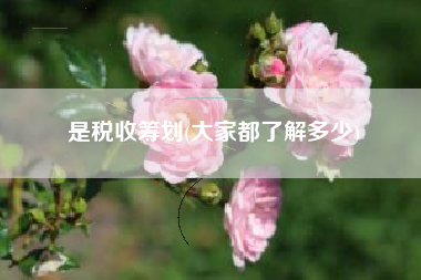 是税收筹划(大家都了解多少)