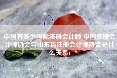 中国有多少国际注册会计师(中国注册会计师协会与山东省注册会计师协会是什么关系)