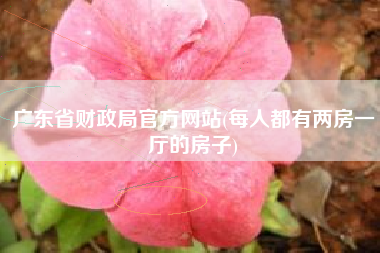 广东省财政局官方网站(每人都有两房一厅的房子)
