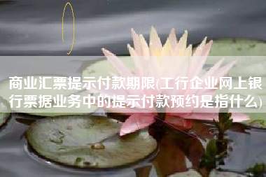 商业汇票提示付款期限(工行企业网上银行票据业务中的提示付款预约是指什么)