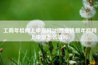 工商年检网上申报网址(营业执照年检网上申报怎么填写)