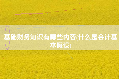 基础财务知识有哪些内容(什么是会计基本假设)