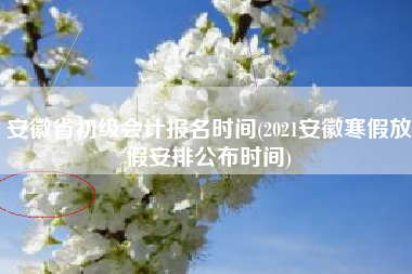 安徽省初级会计报名时间(2021安徽寒假放假安排公布时间)