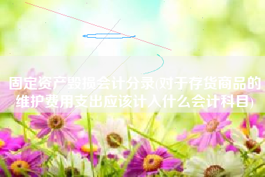 固定资产毁损会计分录(对于存货商品的维护费用支出应该计入什么会计科目)