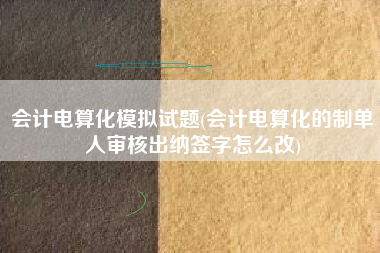 会计电算化模拟试题(会计电算化的制单人审核出纳签字怎么改)