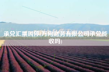 承兑汇票叫停(万向财务有限公司承兑能收吗)