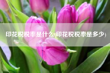 印花税税率是什么(印花税税率是多少)