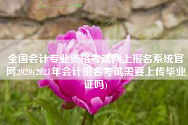 全国会计专业资格考试网上报名系统官网2020(2021年会计报名考试需要上传毕业证吗)
