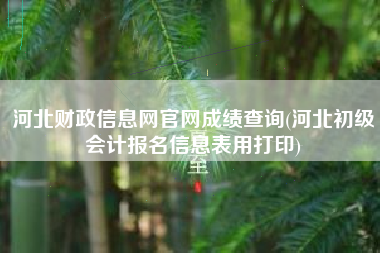 河北财政信息网官网成绩查询(河北初级会计报名信息表用打印)