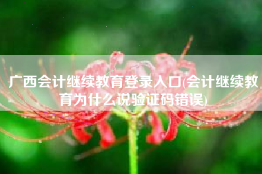广西会计继续教育登录入口(会计继续教育为什么说验证码错误)
