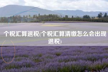 个税汇算退税(个税汇算清缴怎么会出现退税)