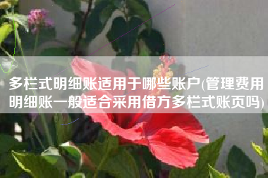 多栏式明细账适用于哪些账户(管理费用明细账一般适合采用借方多栏式账页吗)