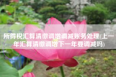 所得税汇算清缴调增调减账务处理(上一年汇算清缴调增下一年要调减吗)