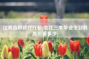 江苏省财政厅厅长(会比三本毕业生公务员厉害多少)