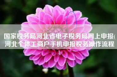 国家税务局河北省电子税务局网上申报(河北个体工商户手机申报税务操作流程
)