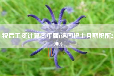税后工资计算器年薪(德国护士月薪税前2000)