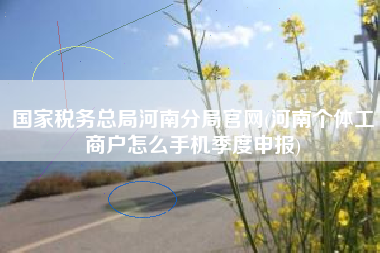 国家税务总局河南分局官网(河南个体工商户怎么手机季度申报)