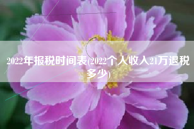 2022年报税时间表(2022个人收入21万退税多少)