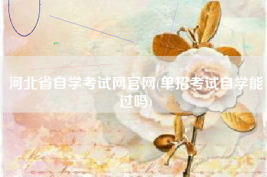 河北省自学考试网官网(单招考试自学能过吗)