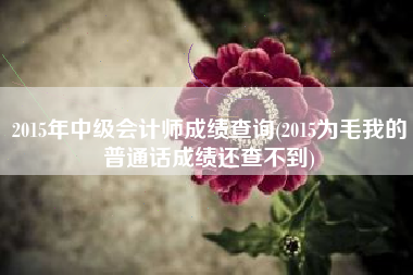 2015年中级会计师成绩查询(2015为毛我的普通话成绩还查不到)