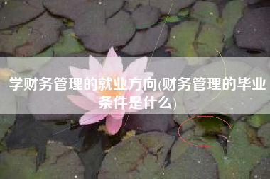 学财务管理的就业方向(财务管理的毕业条件是什么)