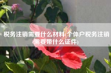 税务注销需要什么材料(个体户税务注销需要带什么证件)