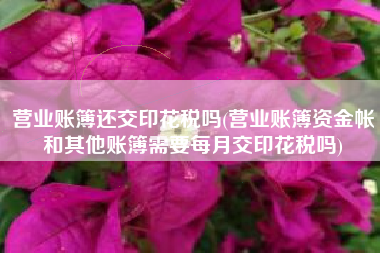 营业账簿还交印花税吗(营业账簿资金帐和其他账簿需要每月交印花税吗)
