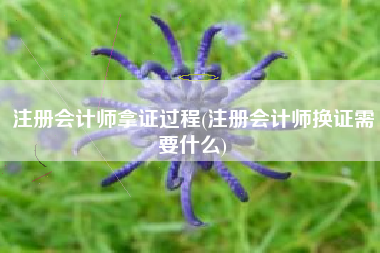 注册会计师拿证过程(注册会计师换证需要什么)