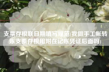 支票存根联日期填写规范(我做手工帐转账支票存根用附在记账凭证后面吗)