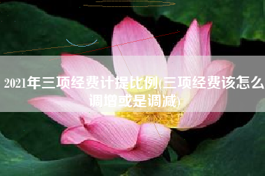 2021年三项经费计提比例(三项经费该怎么调增或是调减)