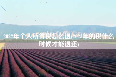 2022年个人所得税怎么退(2023年的税什么时候才能退还)