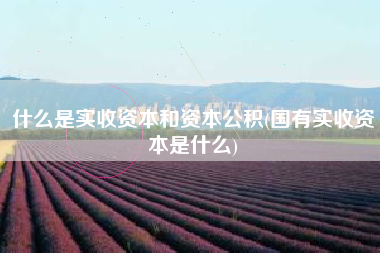 什么是实收资本和资本公积(国有实收资本是什么)