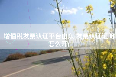 增值税发票认证平台山东(发票认证证明怎么开)