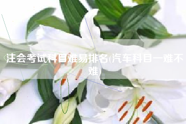 注会考试科目难易排名(汽车科目一难不难)