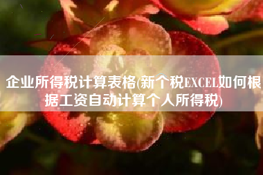 企业所得税计算表格(新个税EXCEL如何根据工资自动计算个人所得税)