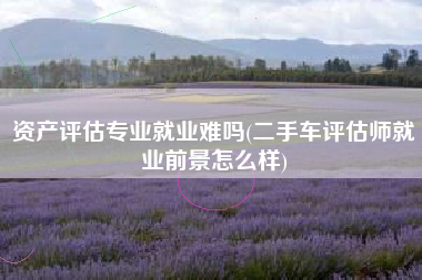 资产评估专业就业难吗(二手车评估师就业前景怎么样)