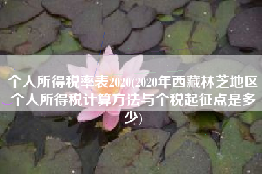 个人所得税率表2020(2020年西藏林芝地区个人所得税计算方法与个税起征点是多少)