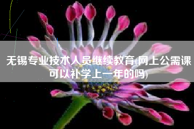 无锡专业技术人员继续教育(网上公需课可以补学上一年的吗)