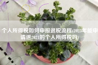 个人所得税如何申报退税流程(2023年能申请退2021的个人所得税吗)