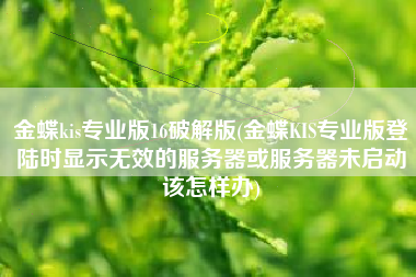 金蝶kis专业版16破解版(金蝶KIS专业版登陆时显示无效的服务器或服务器未启动该怎样办)
